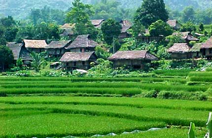 Giảm 30% tour Mai Ch&acirc;u &ndash; Bản L&aacute;c &ndash; Thung Nai chỉ c&ograve;n 805.000 đồng